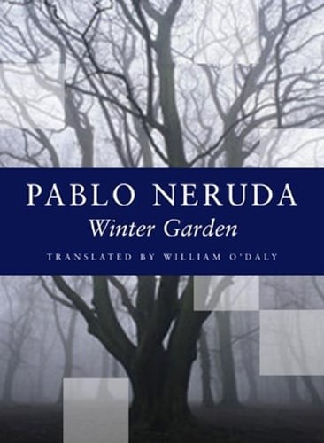 Winter garden pablo - garden, by
