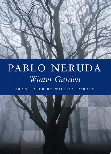 Winter garden - winter,