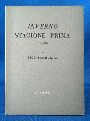 Pico tamburini inverno - pico, tamburini,