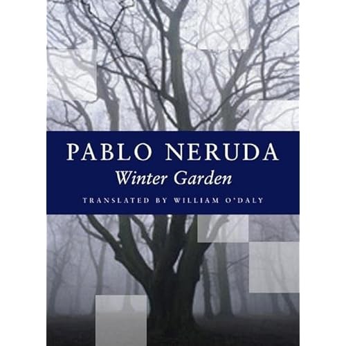 Winter garden - winter,