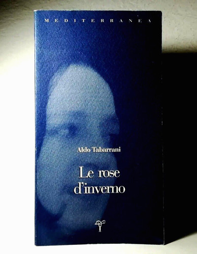 Rose inverno di - rose, d'inverno